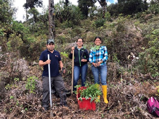 Restauración de habitat en Buenaventura reserve!
